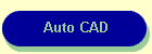Auto CAD