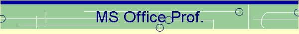 MS Office Prof.
