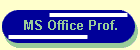 MS Office Prof.
