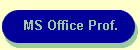 MS Office Prof.